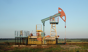 В первом полугодии Россия отправила в Германию на 24% меньше нефти – официальные данные